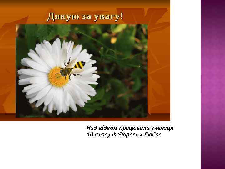 Над відеом працювала учениця 10 класу Федорович Любов 