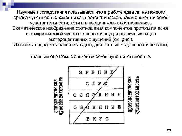 Научные исследования показывают, что в работе едва ли не каждого органа чувств есть элементы