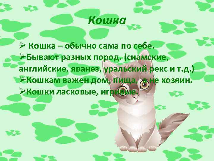 Кошка Ø Кошка – обычно сама по себе. ØБывают разных пород. (сиамские, английские, яванез,