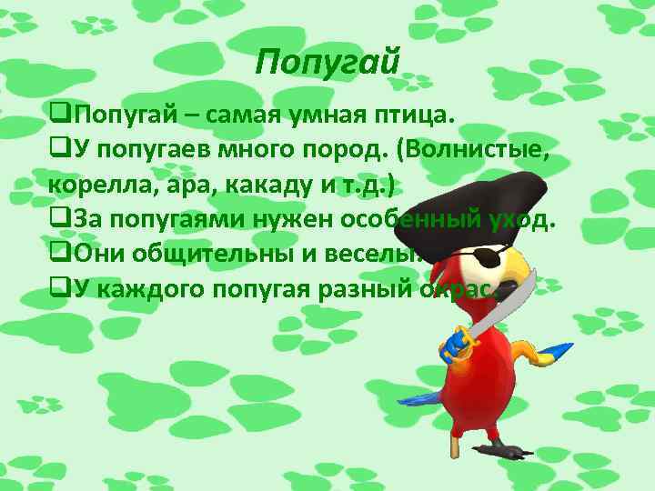 Попугай q. Попугай – самая умная птица. q. У попугаев много пород. (Волнистые, корелла,