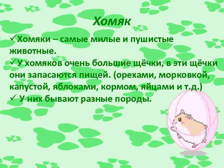 Хомяк üХомяки – самые милые и пушистые животные. üУ хомяков очень большие щёчки, в