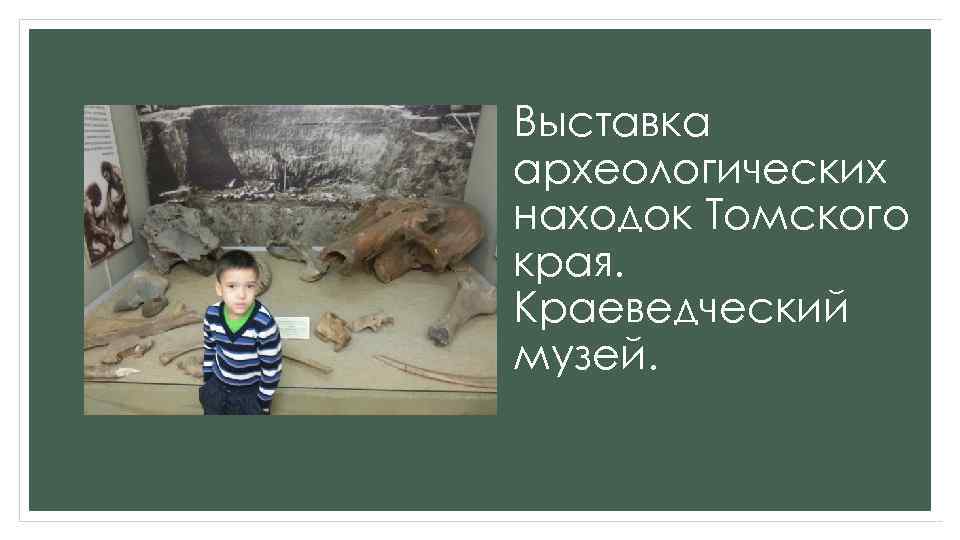 Выставка археологических находок Томского края. Краеведческий музей. 