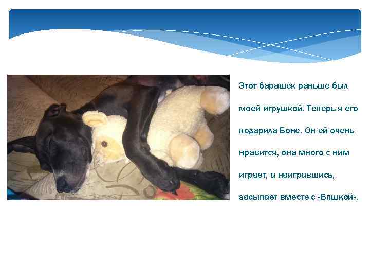 Этот барашек раньше был моей игрушкой. Теперь я его подарила Боне. Он ей очень