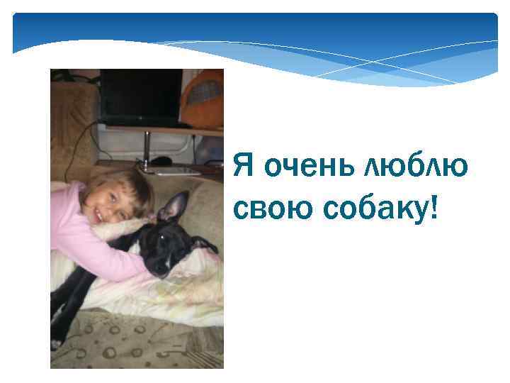 Я очень люблю свою собаку! 