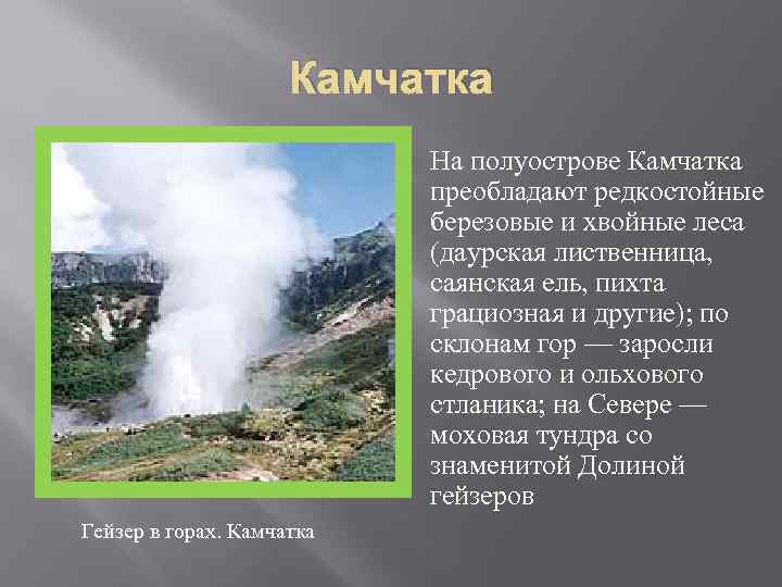 Камчатка Гейзер в горах. Камчатка На полуострове Камчатка преобладают редкостойные березовые и хвойные леса