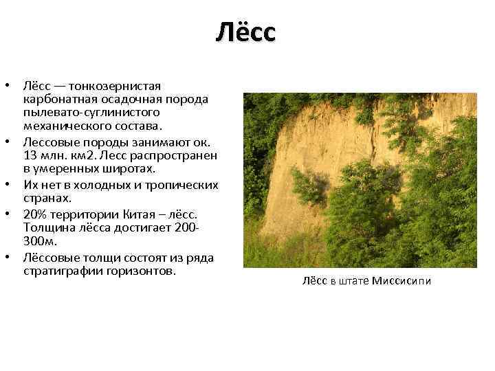 Лёсс • Лёсс — тонкозернистая карбонатная осадочная порода пылевато-суглинистого механического состава. • Лессовые породы
