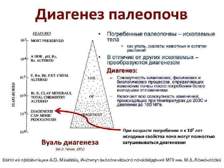 Взято из презентации А. О. Макеева, Институт экологического почвоведения МГУ им. М. В. Ломоносова