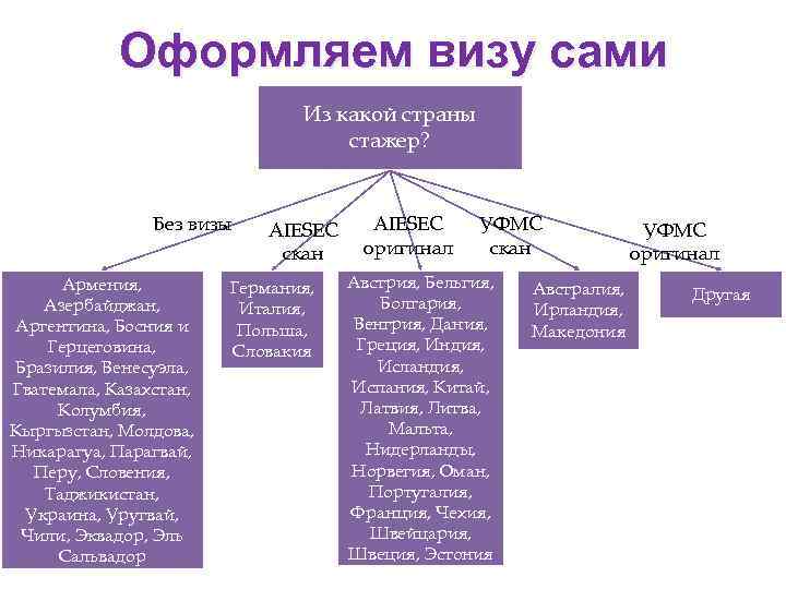 Оформляем визу сами Из какой страны стажер? Без визы Армения, Азербайджан, Аргентина, Босния и