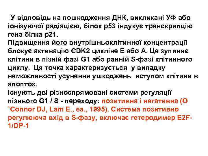  У відповідь на пошкодження ДНК, викликані УФ або іонізуючої радіацією, білок p 53