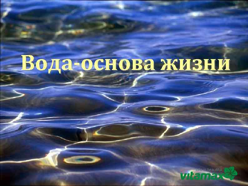 Вода-основа жизни 