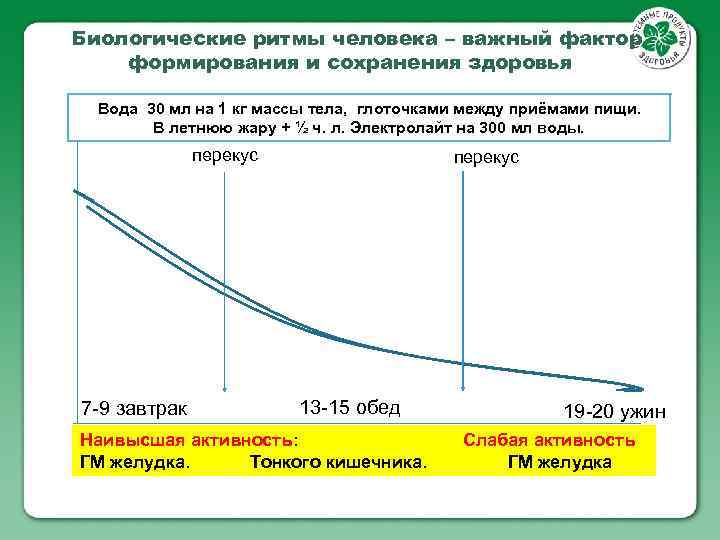 Биологические ритмы человека – важный фактор формирования и сохранения здоровья Вода 30 мл на