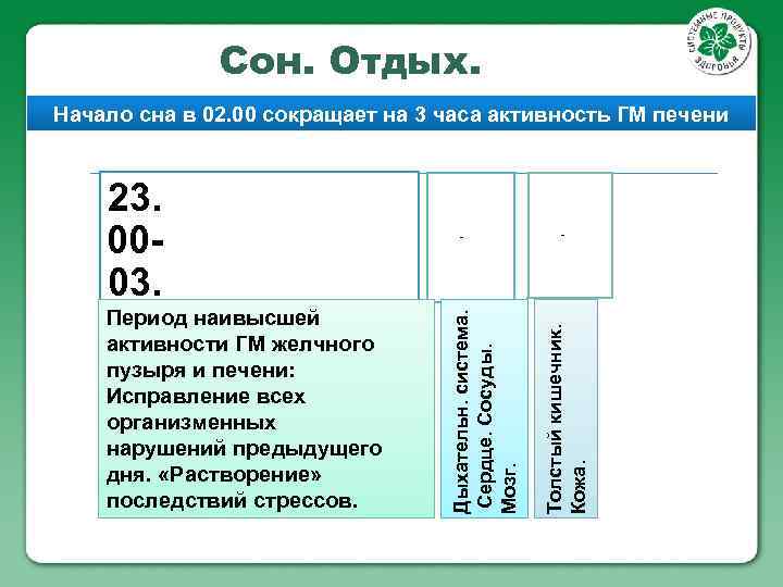 Сон. Отдых. Начало сна в 02. 00 сокращает на 3 часа активность ГМ печени