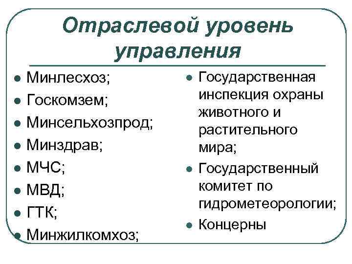 Отраслевой уровень управления l l l l Минлесхоз; Госкомзем; Минсельхозпрод; Минздрав; МЧС; МВД; ГТК;