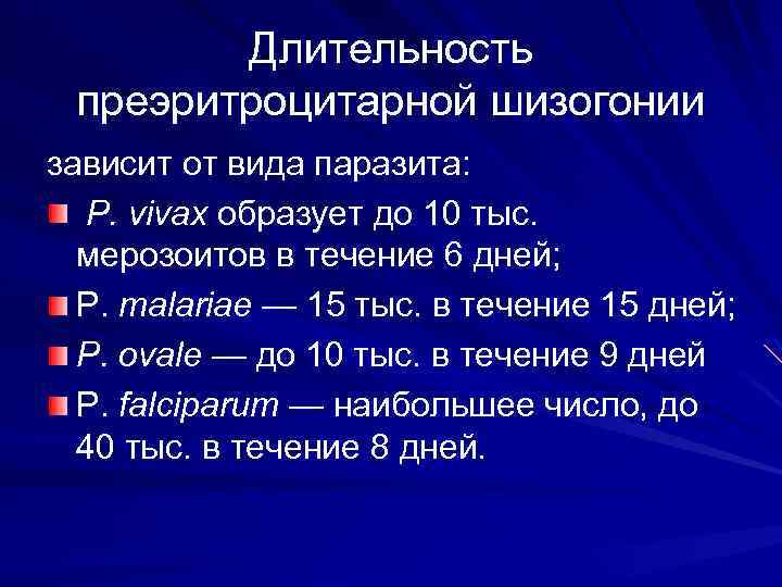 Длительность преэритроцитарной шизогонии зависит от вида паразита: P. vivax образует до 10 тыс. мерозоитов