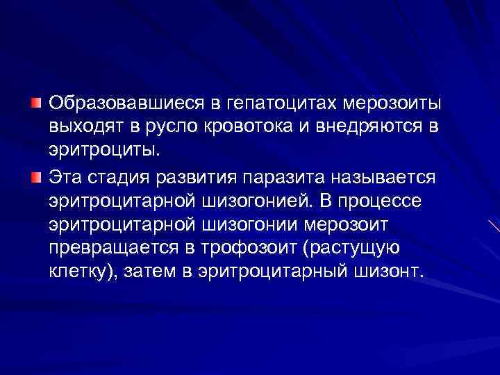 Образовавшиеся в гепатоцитах мерозоиты выходят в русло кровотока и внедряются в эритроциты. Эта стадия