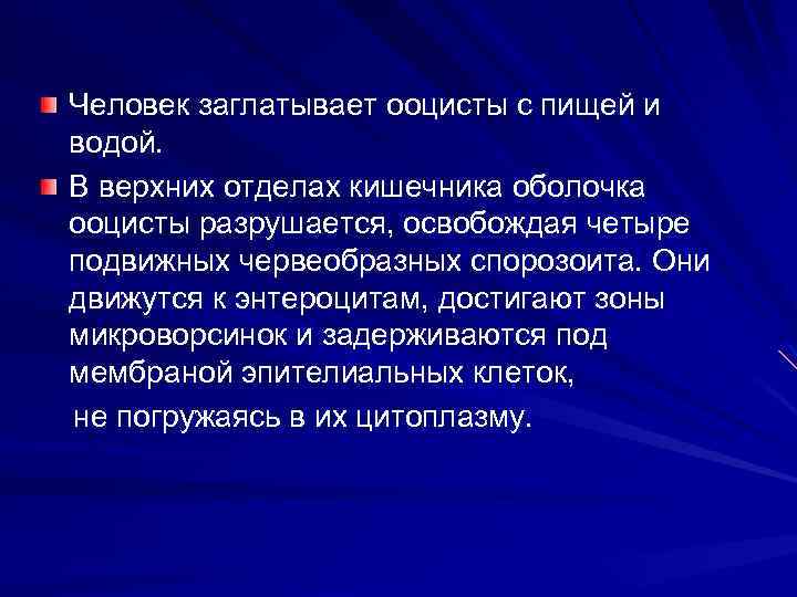 Человек заглатывает ооцисты с пищей и водой. В верхних отделах кишечника оболочка ооцисты разрушается,