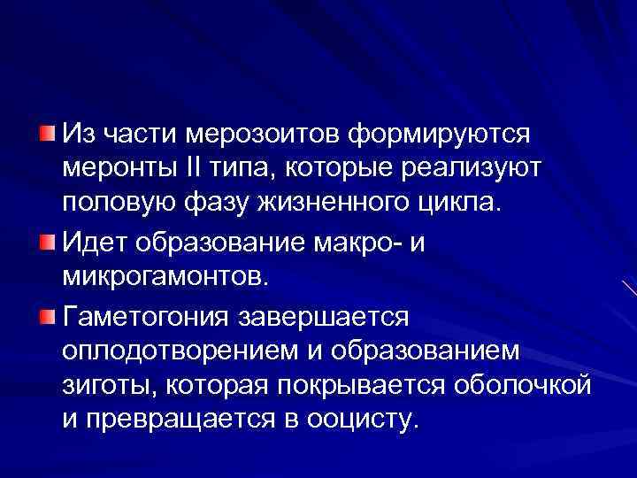 Из части мерозоитов формируются меронты II типа, которые реализуют половую фазу жизненного цикла. Идет