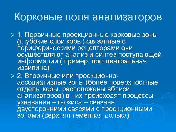 Корковые поля анализаторов 1. Первичные проекционные корковые зоны (глубокие слои коры) связанные с периферическими
