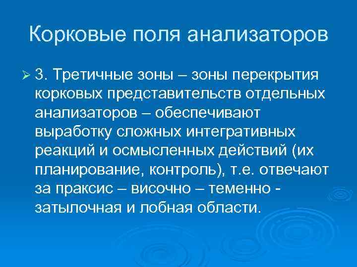 Корковые поля анализаторов Ø 3. Третичные зоны – зоны перекрытия корковых представительств отдельных анализаторов
