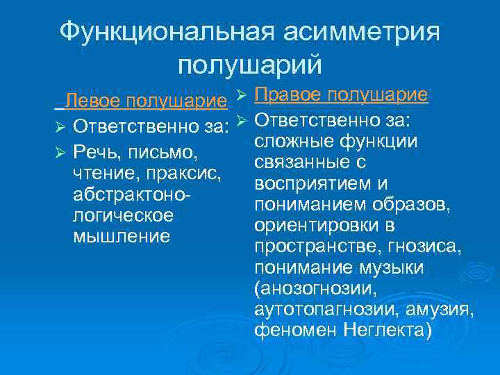 Функциональная асимметрия полушарий Левое полушарие Ø Правое полушарие Ø Ответственно за: сложные функции Ø