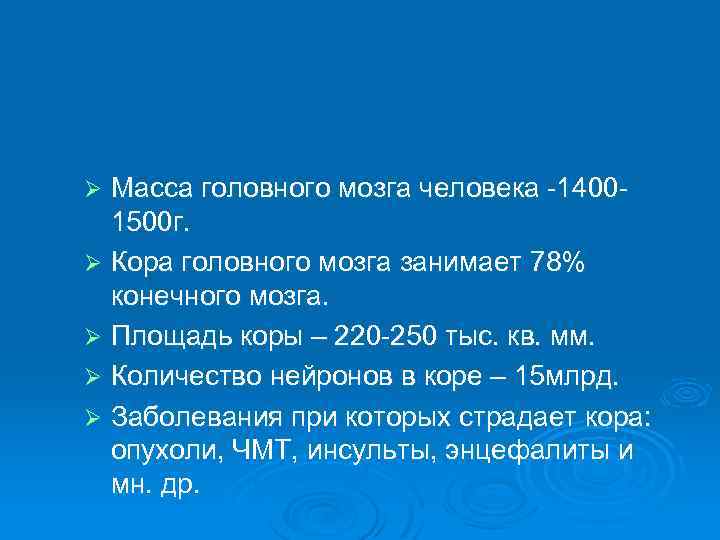 Масса головного мозга человека -14001500 г. Ø Кора головного мозга занимает 78% конечного мозга.