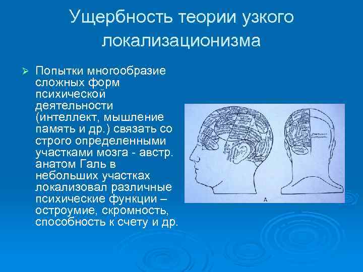 Ущербность теории узкого локализационизма Ø Попытки многообразие сложных форм психической деятельности (интеллект, мышление память