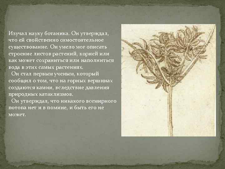 Изучал науку ботаника. Он утверждал, что ей свойственно самостоятельное существование. Он умело мог описать