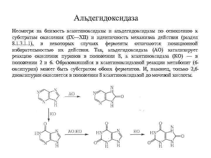 Альдегидоксидаза Несмотря на близость ксантиноксидазы и альдегидоксидазы по отношению к субстратам окисления (IX—XII) и