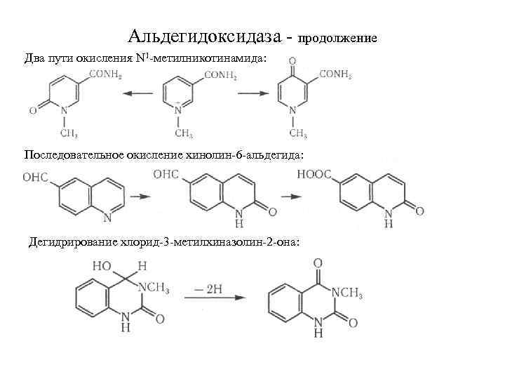 Альдегидоксидаза продолжение Два пути окисления N 1 метилникотинамида: Последовательное окисление хинолин 6 альдегида: Дегидрирование