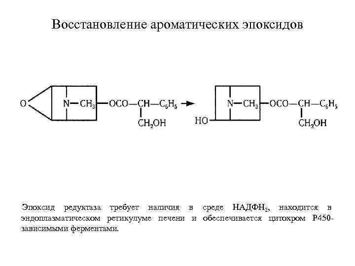 Boccтaнoвлeниe aрoмaтичecкиx эпоксидoв Эпоксид редуктаза требует наличия в среде НАДФН 2, находится в эндоплазматическом