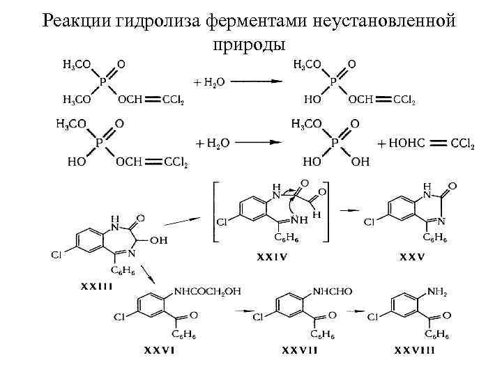 Схема реакции гидролиза этанонитрила