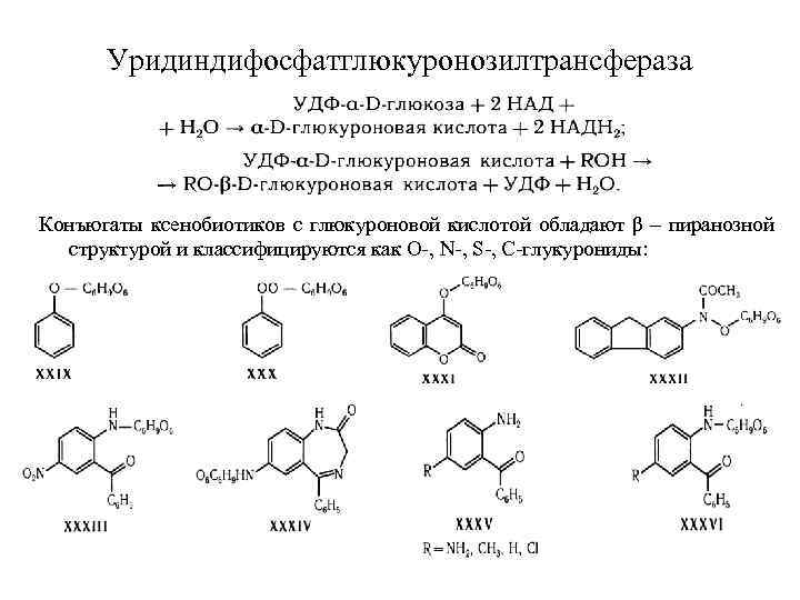 Уридиндифосфатглюкуронозилтрансфераза Конъюгаты ксенобиотиков с глюкуроновой кислотой обладают β – пиранозной структурой и классифицируются как