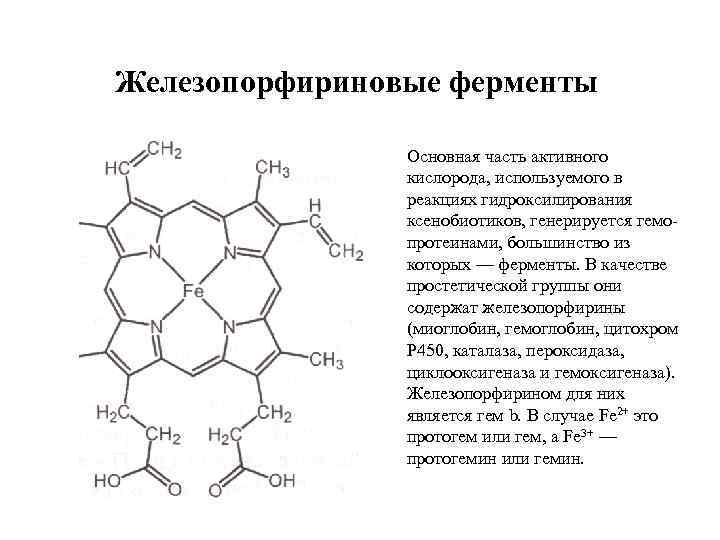 Железопорфириновые ферменты Основная часть активного кислорода, используемого в реакциях гидроксилирования ксенобиотиков, генерируется гемо протеинами,