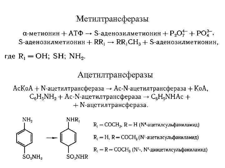 Метилтрансферазы Ацетилтрансферазы 