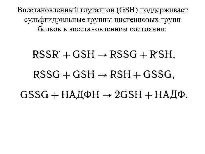 Восстановленный глутатион (GSH) поддерживает сульфгидрильные группы цистеиновых групп белков в восстановленном состоянии: 