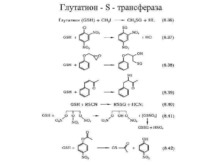 Глутатион S трансфераза 