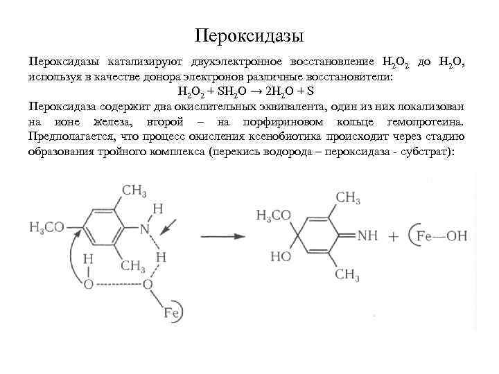 Пероксидазы катализируют двухэлектронное восстановление Н 2 О 2 до Н 2 О, используя в