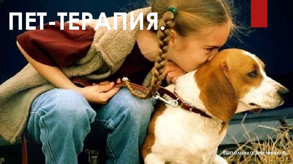 ПЕТ-ТЕРАПИЯ. Выполнила: Зинченко А. 