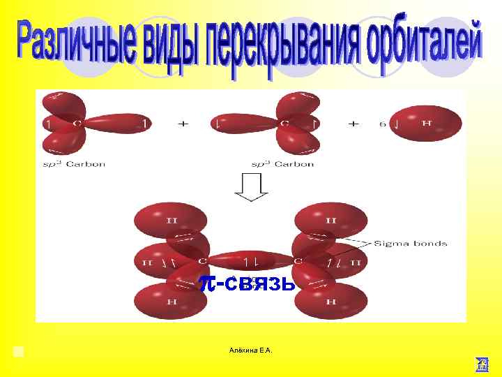 π-связь Алёхина Е. А. 