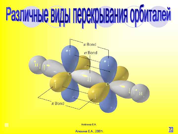 Алёхина Е. А. Алехина Е. А. , 2007 г. 