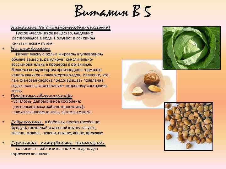 Пантотеновая Кислота Купить В Новосибирске