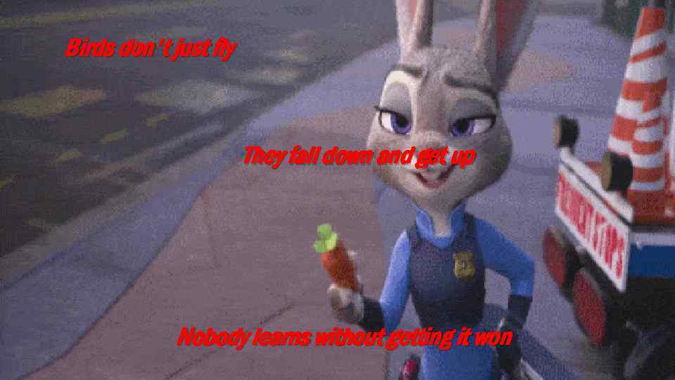 Birds don't just fly They fall down and get up Nobody learns without getting