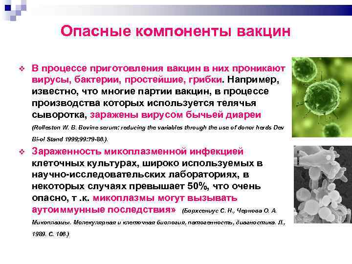 Опасные компоненты вакцин В процессе приготовления вакцин в них проникают вирусы, бактерии, простейшие, грибки.