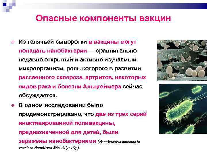 Опасные компоненты вакцин Из телячьей сыворотки в вакцины могут попадать нанобактерии — сравнительно недавно