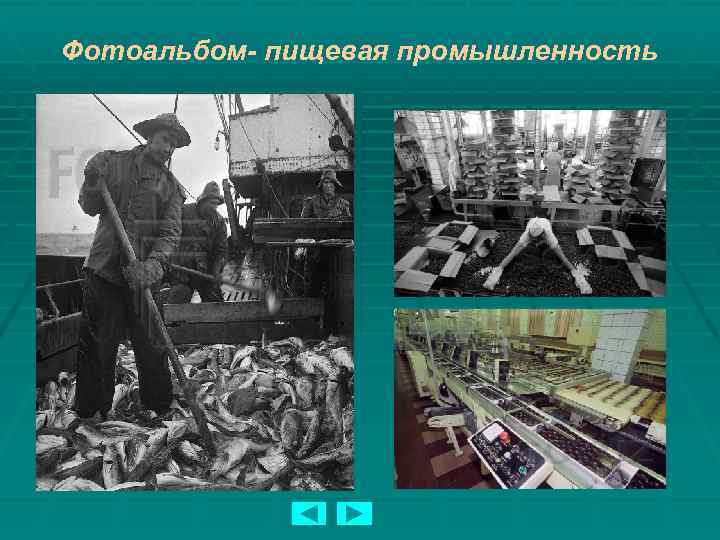 Фотоальбом- пищевая промышленность 