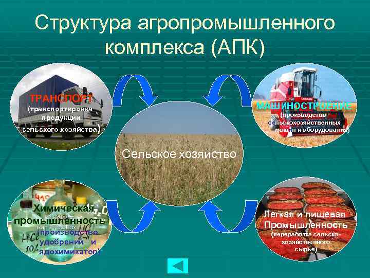 Структура агропромышленного комплекса (АПК) ТРАНСПОРТ МАШИНОСТРОЕНИЕ (транспортировка продукции (производство сельскохозяйственных машин и оборудования) сельского