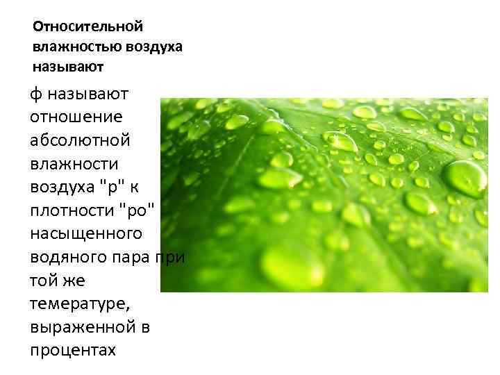 Относительной влажностью воздуха называют φ называют отношение абсолютной влажности воздуха 