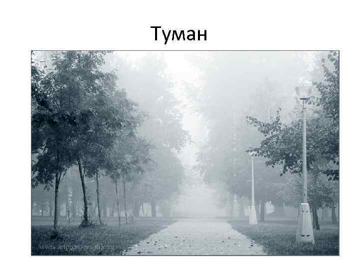 Туман 