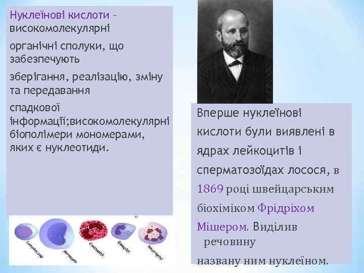 Нуклеїнові кислоти – високомолекулярні органічні сполуки, що забезпечують зберігання, реалізацію, зміну та передавання спадкової