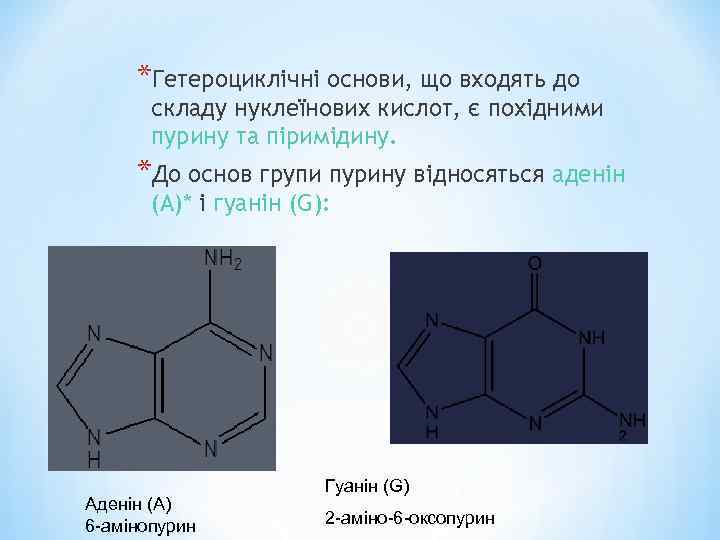 *Гетероциклічні основи, що входять до складу нуклеїнових кислот, є похідними пурину та піримідину. *До